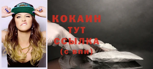 COCAINE Каменка