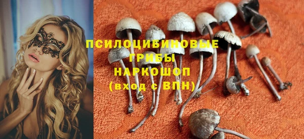 гидропоника Каменск-Шахтинский